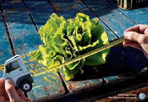 volkswagen-lettuce.jpg